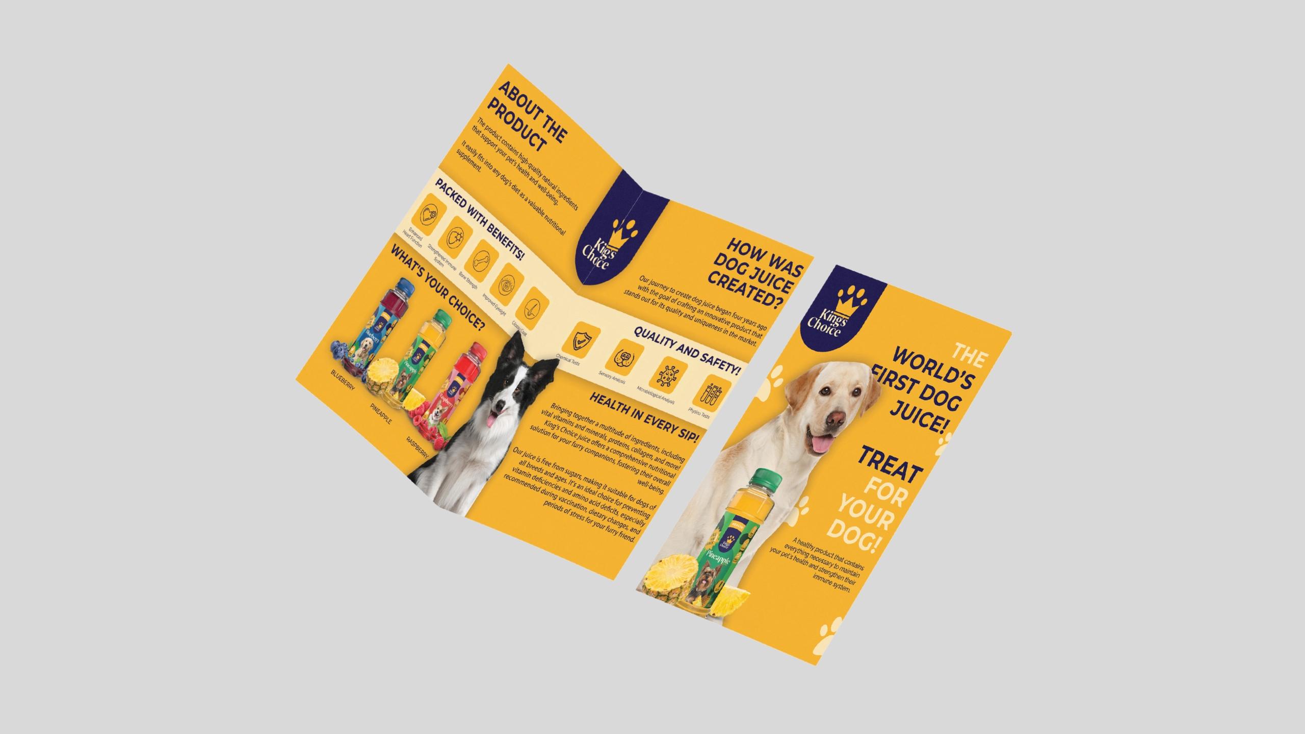 Dizajn flajera za King's Choice